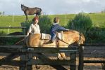 Reiten mit Deborah Gubener
