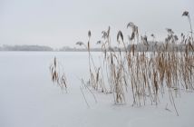 Winter am Rothener See